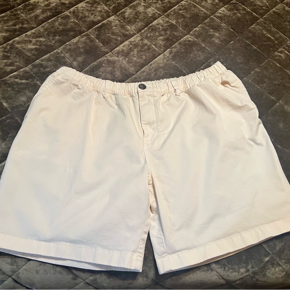 Chubbies Cream Flat Front Shorts